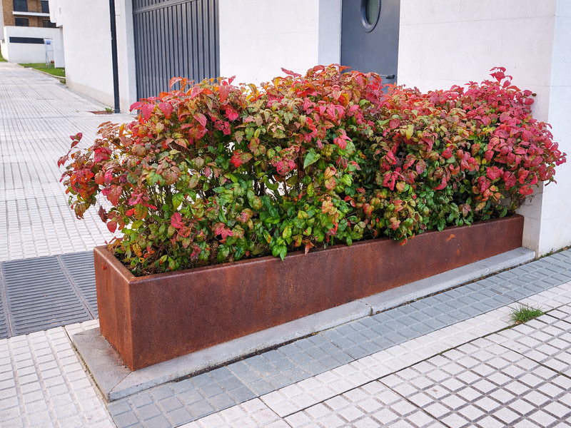 Esparru renueva sus zonas ajardinadas con plantaciones y elementos decorativos