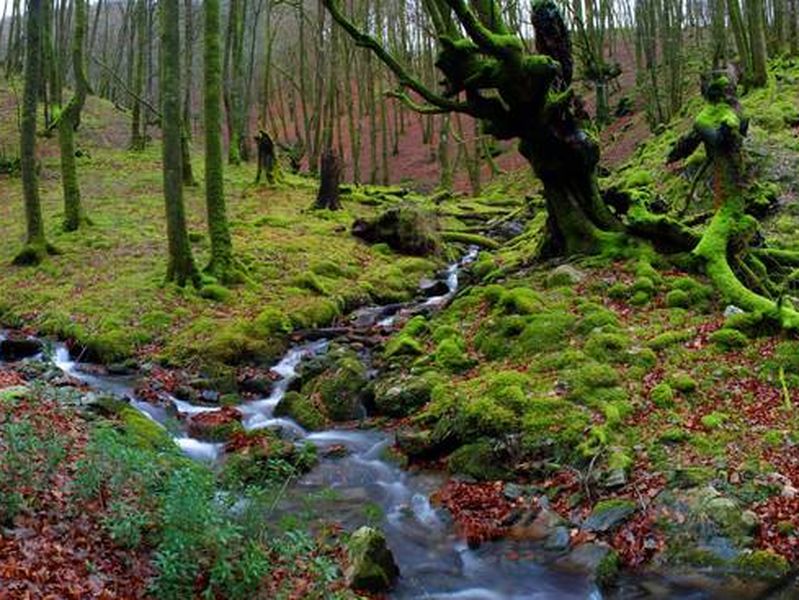 Mendi irteera Artikutzara Amalur Mendi Elkarteak antolatuta igande honetan, apirilak 19 Mendi irteera Artikutzara Amalur Mendi Elkarteak antolatuta igande honetan, apirilak 19